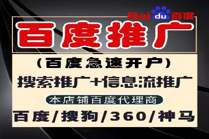 百度推广公司案例解析：如何利用大数据优化营销策略
